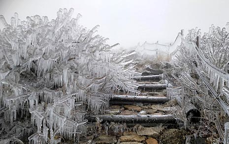 이미지기사