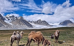 몽골 서부 최고의 관광명소 타왕복드