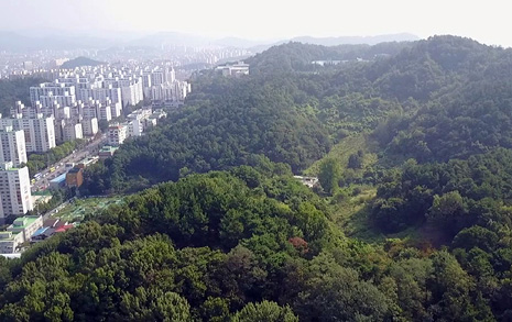 권선택 대전시장은  '대전 보물'을 버릴 건가