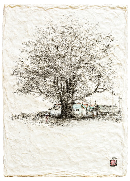 교동 은행나무 33×23.5cm 한지 위에 펜(2020) 교동 무학리에 있는 천 살 먹은 할머니 나무. 바다 건너 마주 보는 이북 땅에는 할아버지 나무가 산다고, 마을 사람들은 말한다. 