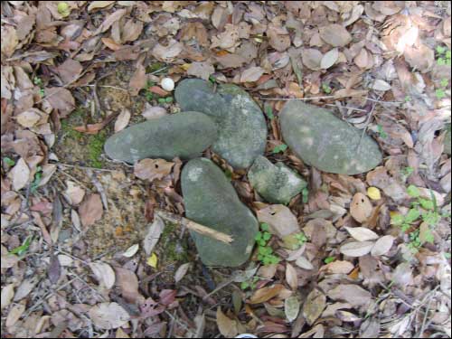 犬、猫の墓ともあまりにも比較されている朝鮮人の墓の跡。 小石数個、ここが墓桁ということ認識することができる。