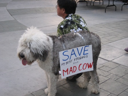 Save My Best Friends From Mad Cow