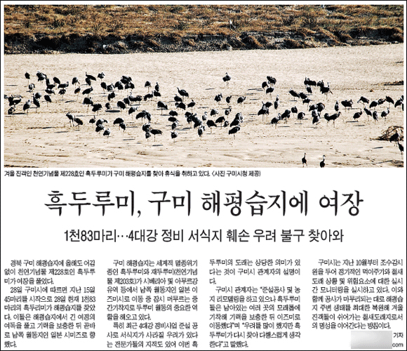  대구일보 10월 29일 7면
