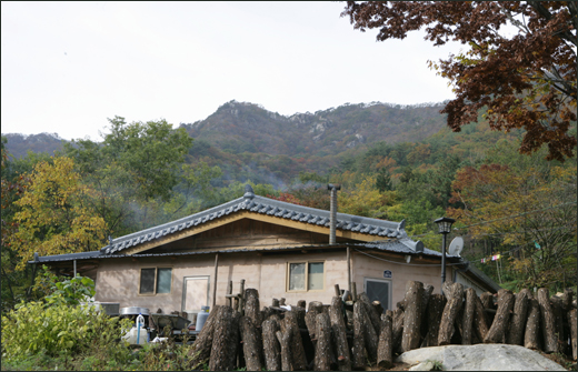 김규환 씨가 사는 백아산 자락의 집. 안마당에 표고목이 즐비하고 굴뚝에선 하얀 연기가 피어나고 있다.