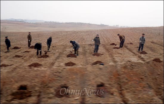 북한주민 여러명이 삽으로 땅을 파고 있다.