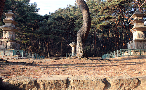 김유신이 세운 원원사의 터에 남은 두 탑이 솔숲 속에 나란히 서 있다.