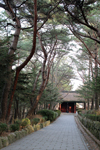 김유신 묘소로 가는 아름다운 길