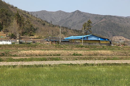 기사 관련 사진