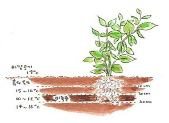 기사 관련 사진