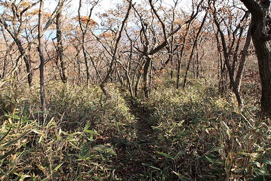 기사 관련 사진