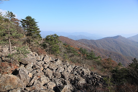 기사 관련 사진