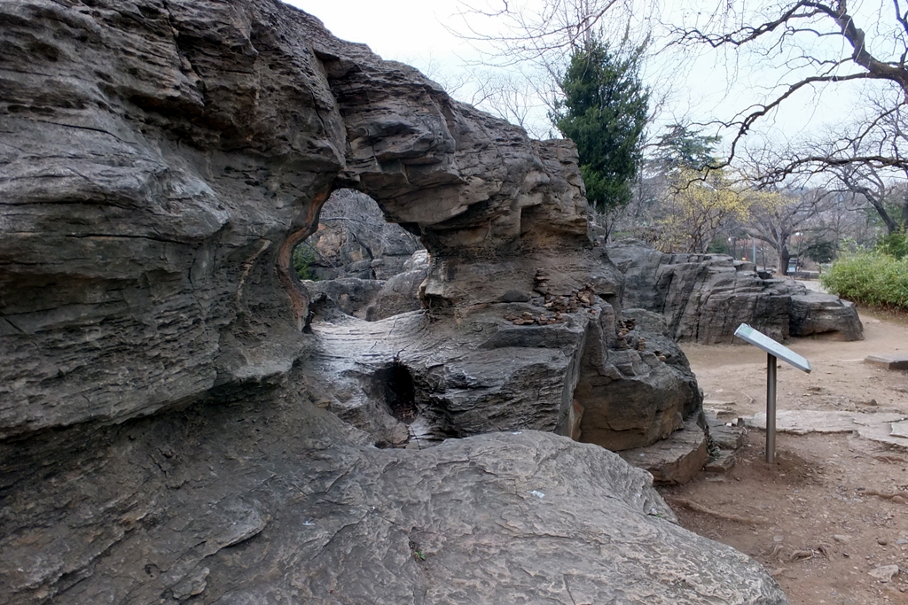 기기묘묘한 바윗돌들과 수백 년 묵은 향나무들이 살고 있는 죽서루 안뜰.