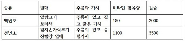 기사 관련 사진