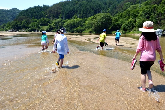 기사 관련 사진