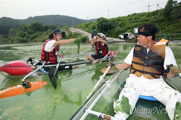 녹조에서 건진 죽은 물고기 '낙동에 살어리랏다' 탐사보도팀이 24일 오전 대구시 달성군 구지면 도동서원앞 낙동강에서 투명카약을 타고 녹조 탐사활동을 벌였다. '낙동강 지킴이' 정수근 시민기자(왼쪽)와 '금강 지킴이' 김종술 시민기자가 녹조사이에서 죽은 물고기를 건지고 있다.