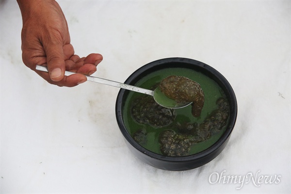 지난 24일 오후 낙동강에서 구한 녹조와 큰빗이끼벌레로 MB를 위한 특별한 ‘국밥’을 만들었다