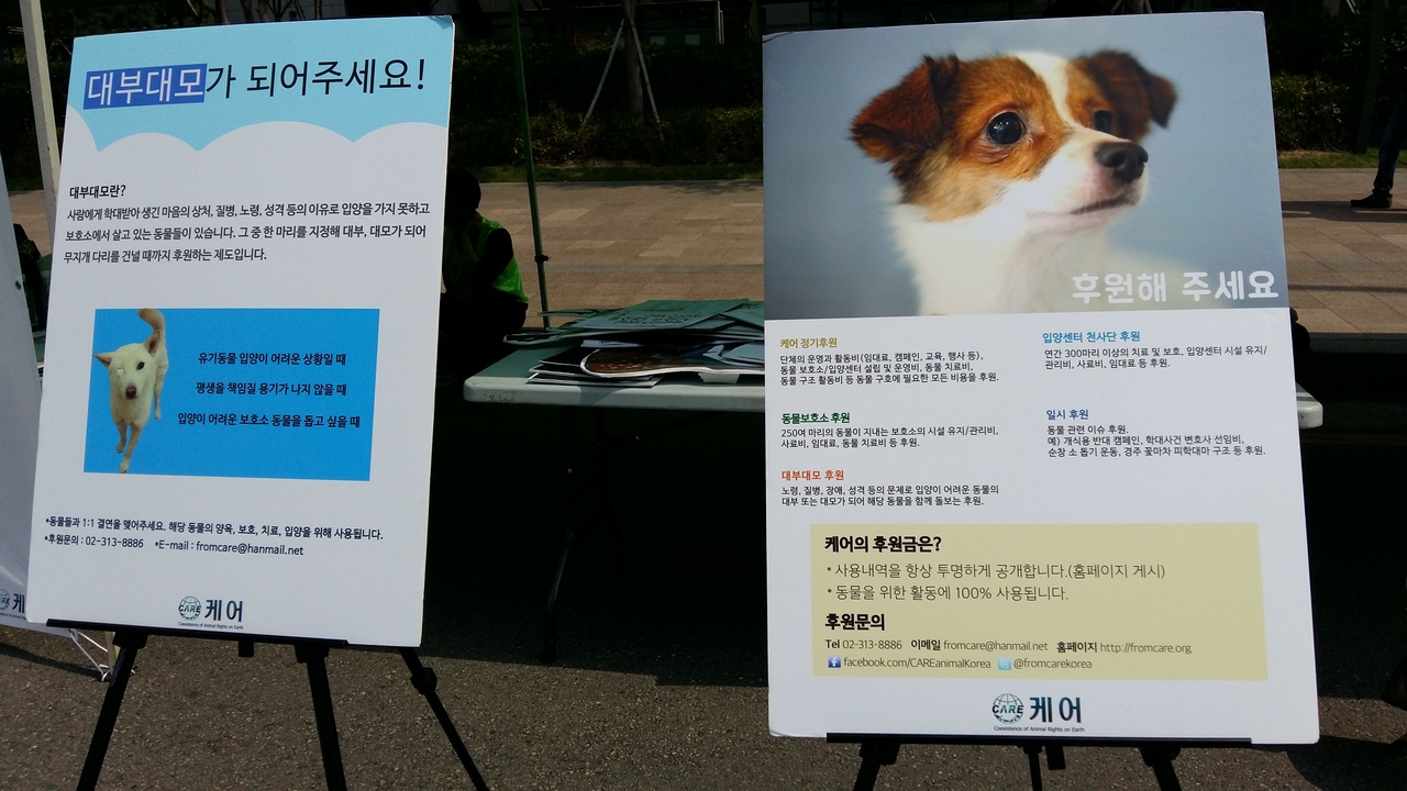 차 없는 날이었던 지난 20일, 동물보호단체 '케어'가 서울 세종대로에 부스를 열어 개·고양이 입양 캠페인을 하고 있다. 