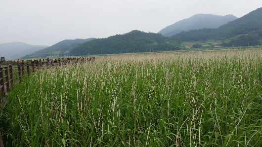 기사 관련 사진