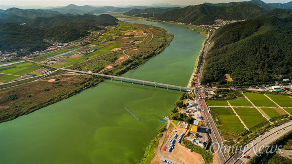  24일 오후 대구 달성군 낙동강 달성보 하류 3km 지점 박석진교 일대에 녹조가 창궐해 강 전체를 뒤 덮고 있다. 