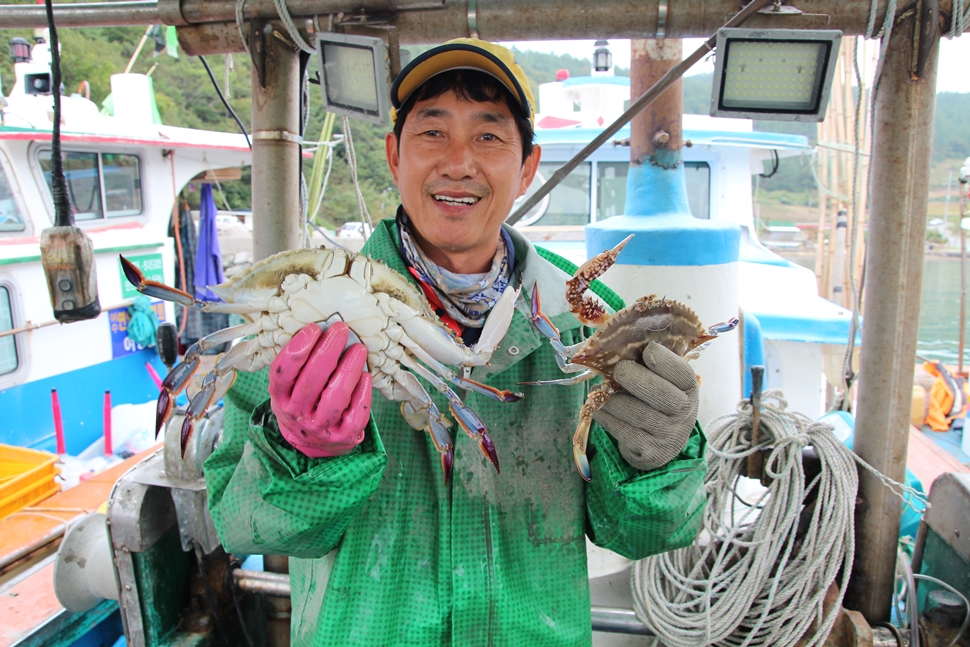 기사 관련 사진