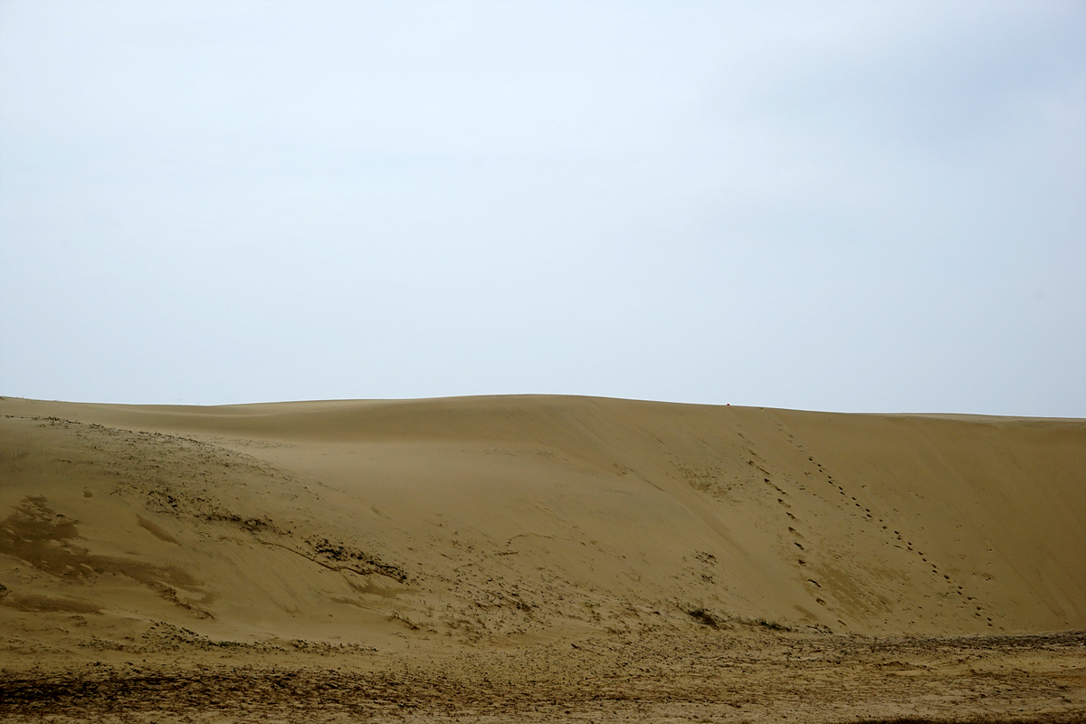  新斗里砂丘の風景