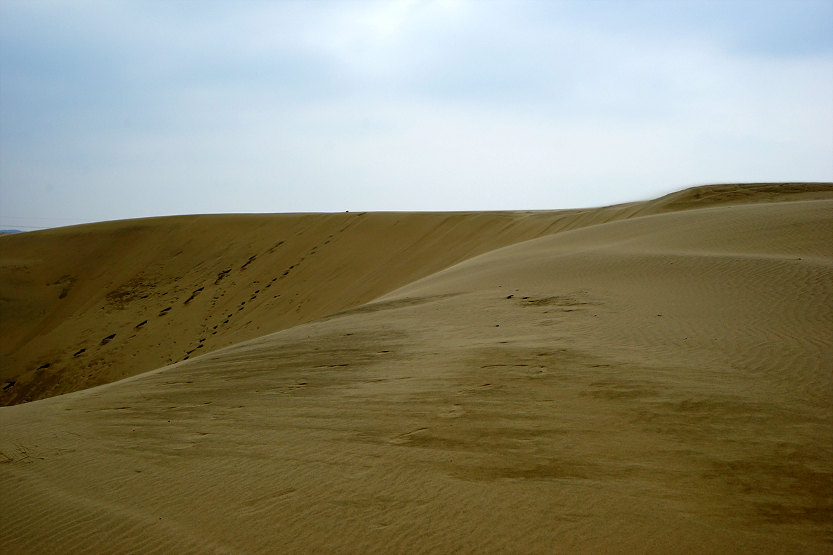  新斗里砂丘の風景