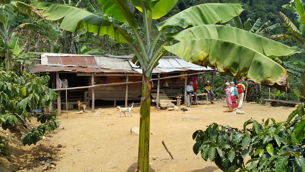 산자락에 깃든 외떨어진 농가. 커피 나무와 바나나 나무에 둘러쌓여 있다. 오직 부부가 함께 사는 이 집에는 몇 마리의 개와 닭, 염소 등 가축들이 함께 살고 있다.