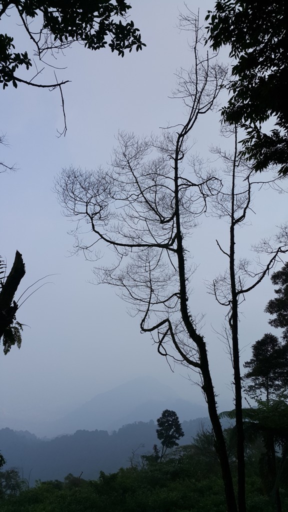 리디아 산 정상에서의 한 컷. 희미하게 보이는 삼각형 모양이 빤짜르 산(Gunung pancar)다.