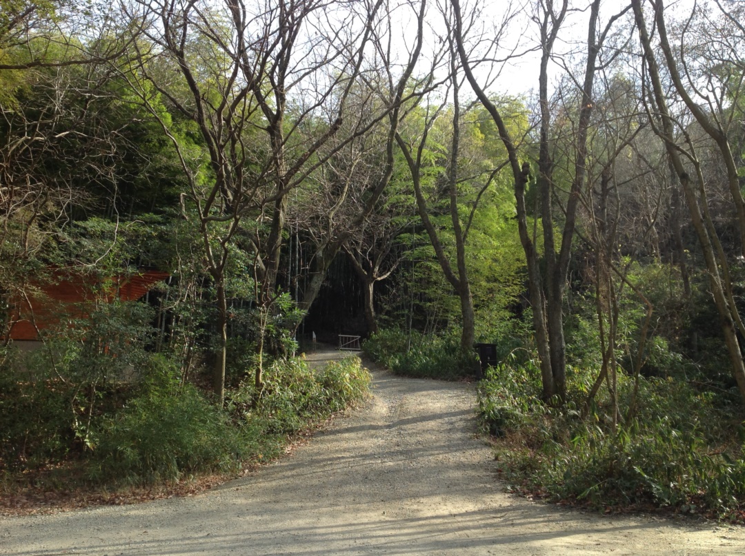이즈미사노 구릉녹지공원 이즈미사노 구릉녹지공원은 자연과 어우러진 아름다운 공원이다.