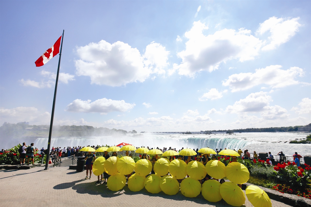 세월호 노란우산 프로젝트_in 캐나다 나이아가라 폭포 해외에서도 진행되는 노란우산프로젝트