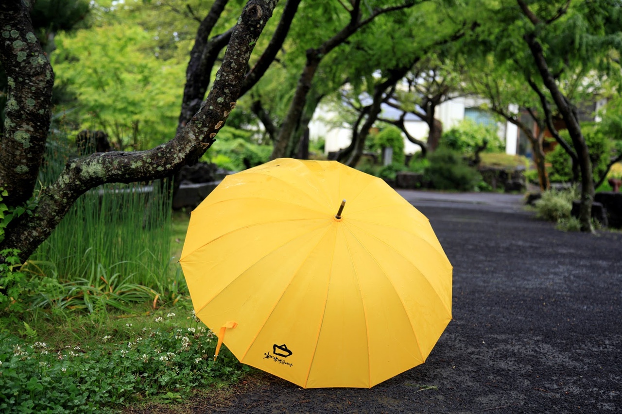세월호 노란우산 프로젝트_in 노란우산 우리는 기억하고 있고
잊지 않기 위해
노란우산을 들고 행동합니다.