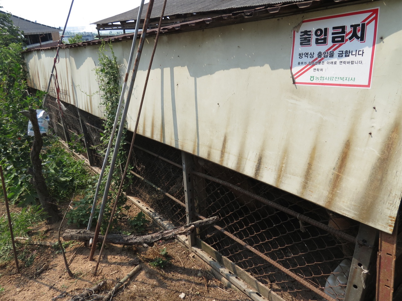  '출입금지' 스티커가 붙은 전주시 모 농가. AI여파로 인해 이따금 닭소리가 들리던 마을이 조용해졌다. 