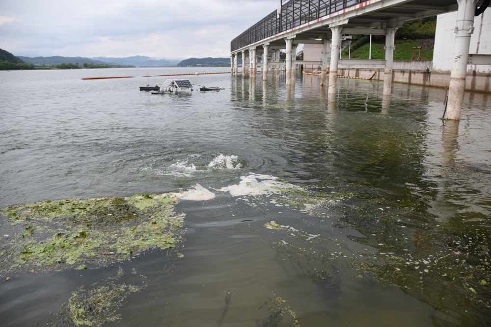  강물 속에 회전식 스크류가 돌아가며 인위적인 물흐름을 만든다. 이것이 한국수자원공사의 녹조 대책이다. 