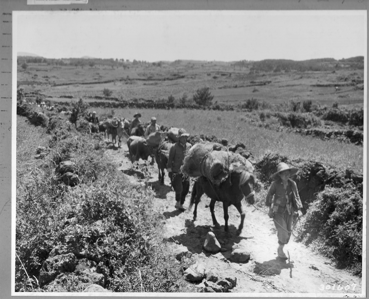  1948. 5. 제주도. 4?3항쟁으로 산에 피란을 간 주민들이 마을로 내려오고 있다.