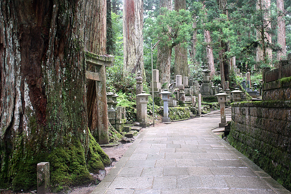 고야산 이치노하시 다리에서 고보대사 사당까지의 약 2킬로미터 참배길에는  500년에서 1000년의 역사를 가진 삼나무 사이에 20만기의 묘비가 서있다