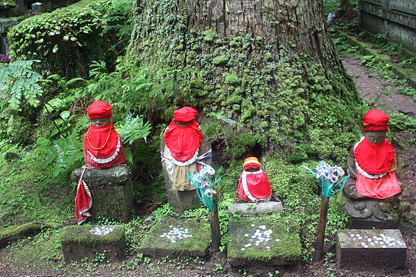  고야산 참배길에는 커다란 고목아래 일본인들이 숭배하는 상을 세워놓고 기도하고 있었다  