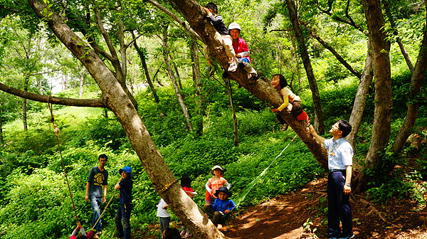  숲학교에서 나무위에 올라간 아이들 모습 