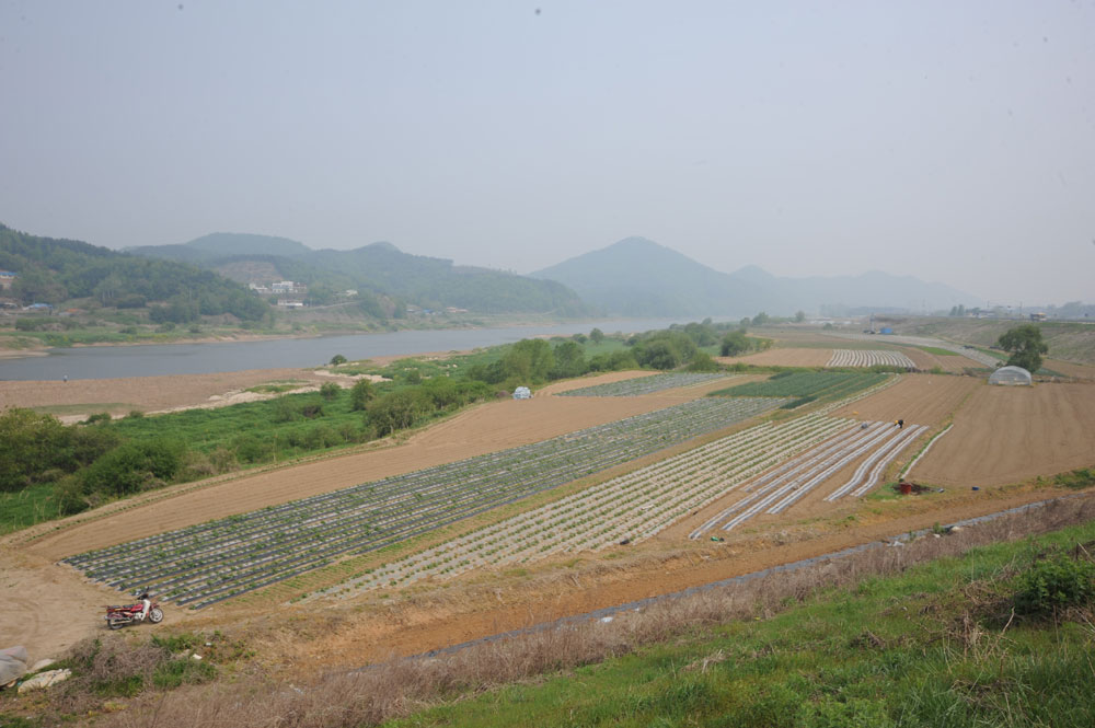  2009년 8월 공주보 하류 천안논산 간 고속도로.