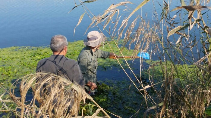  '쥐를 잡자 특공대'의 회원들이 지난 8일 영산강 승천보 상류에서 녹조로 오염된 물을 뜨고 있다. 