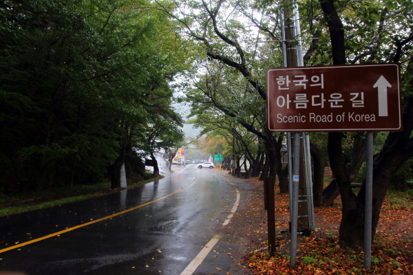 한국의 아름다운 길로 선정된 하동 쌍계사 벚꽃십리길