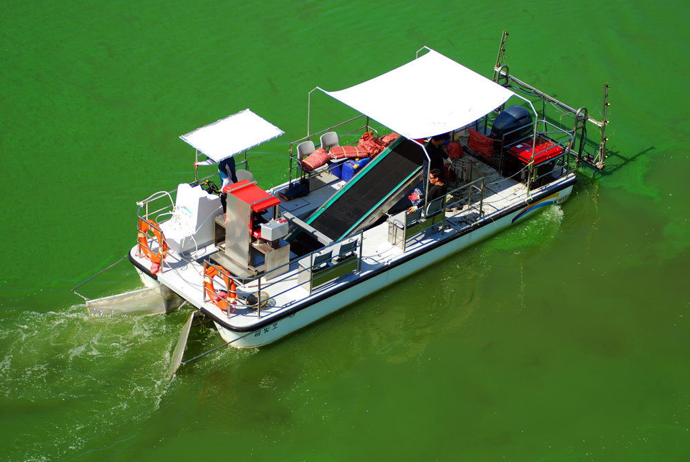  지난해 한국수자원공사가 금강에 창궐한 녹조를 제거하기 위해 녹조제거선을 운행 중이다.
