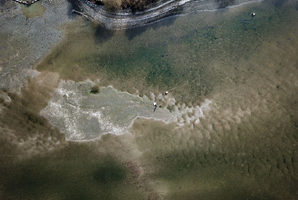  세종보 물이 빠지면서 보이는 강바닥이 온통 녹조가 낀 모습이다.