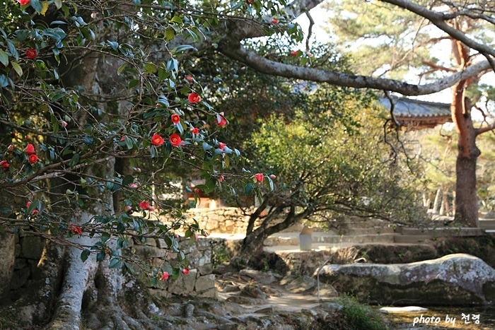 세연정과 회수담 자연 연못인 계담의 물이 세연정 옆 물구멍을 통해 인공 연못인 회수담으로 흘러간다. 