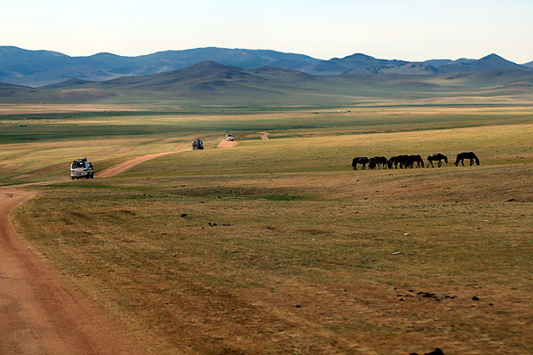  몽골초원을 달리는 일행 차량 옆으로 말들이 한가로이 풀을 뜯고 있었다
