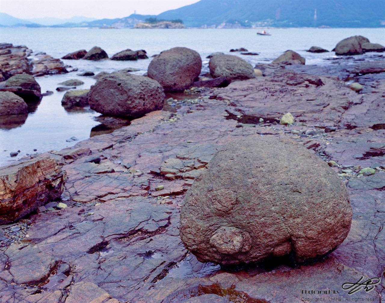 공룡 발자국이 워낙 많은 섬이니, 이런 돌들이 마치 공룡의 알처럼 느껴지기도 한다.