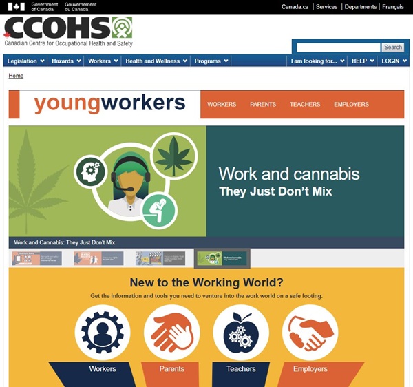 캐나다의 CCOHS 홈페이지에는 young workers 페이지가 별도로 있다(https://www.ccohs.ca/youngworkers/)