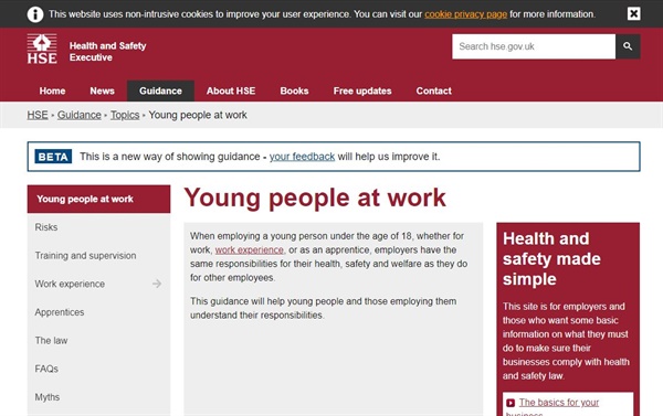 영국 산업안전보건청 HSE (Health and Safety Executive)의 청소년 노동자(Young people at work) 항목에 구축되어 있는 사이트( https://www.hse.gov.uk/youngpeople)의 메인 화면 