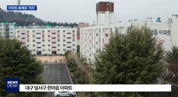  대구 MBC 뉴스의 한 장면.