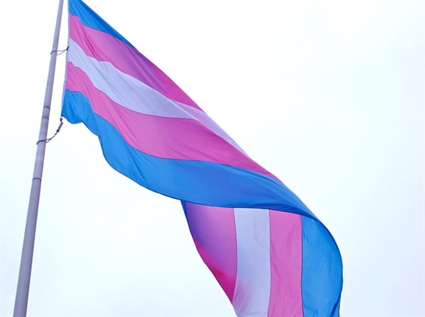  트랜스젠더를 상징하는 색이 담긴 깃발. 