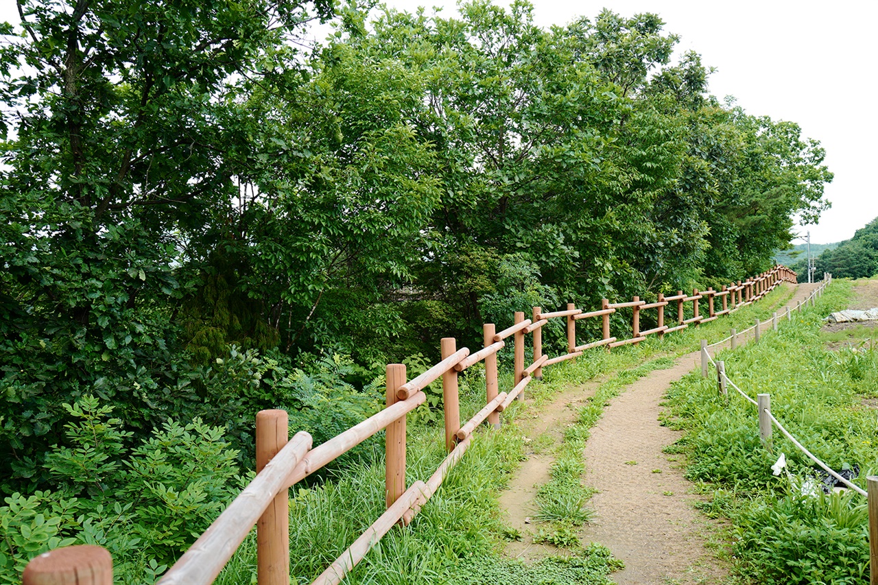 멍우리협곡 한탄강지질공원에는 4개의 트레킹 코스가 조성되어 있다.